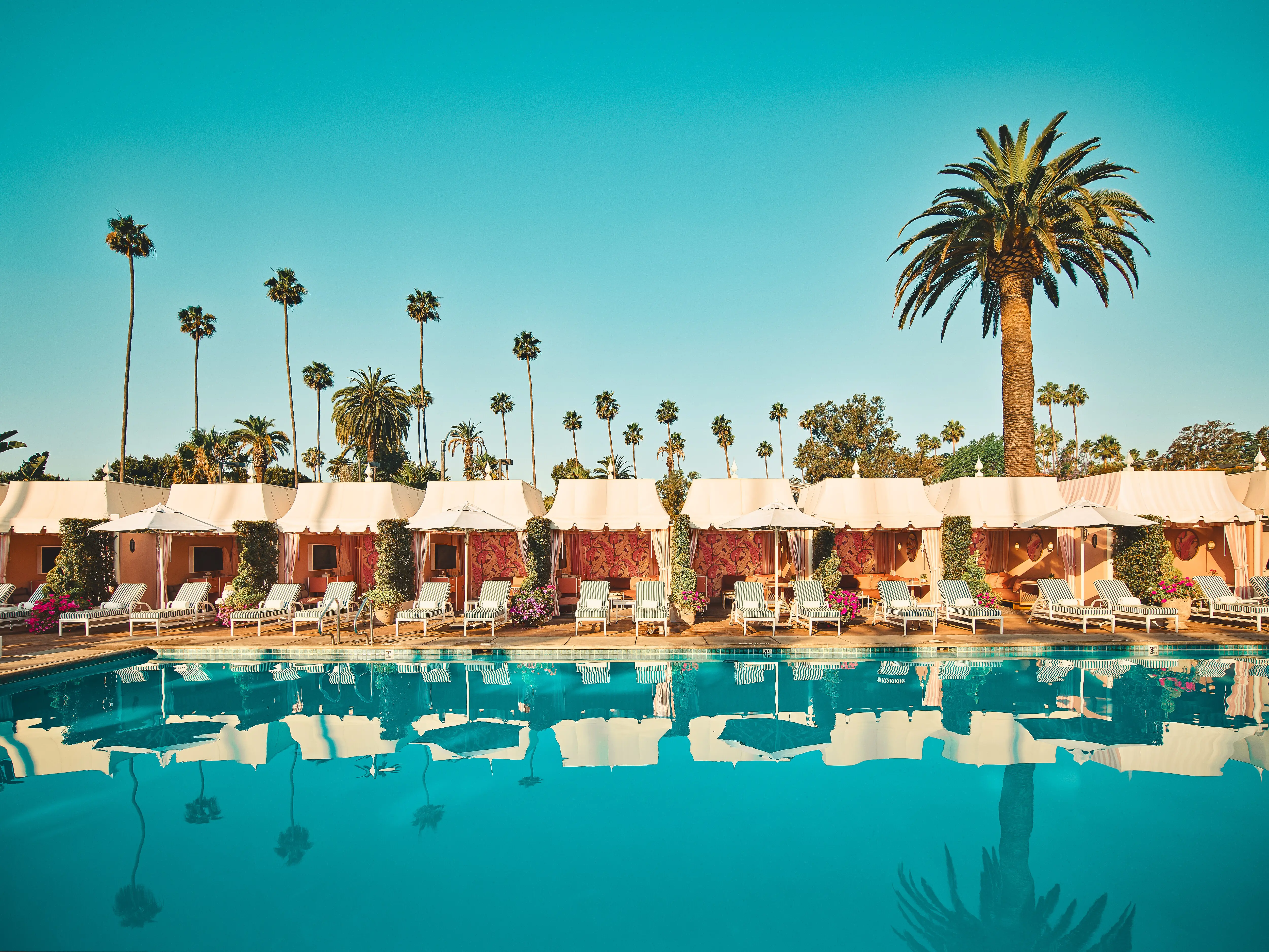 Beverly Hills Hotel Pool