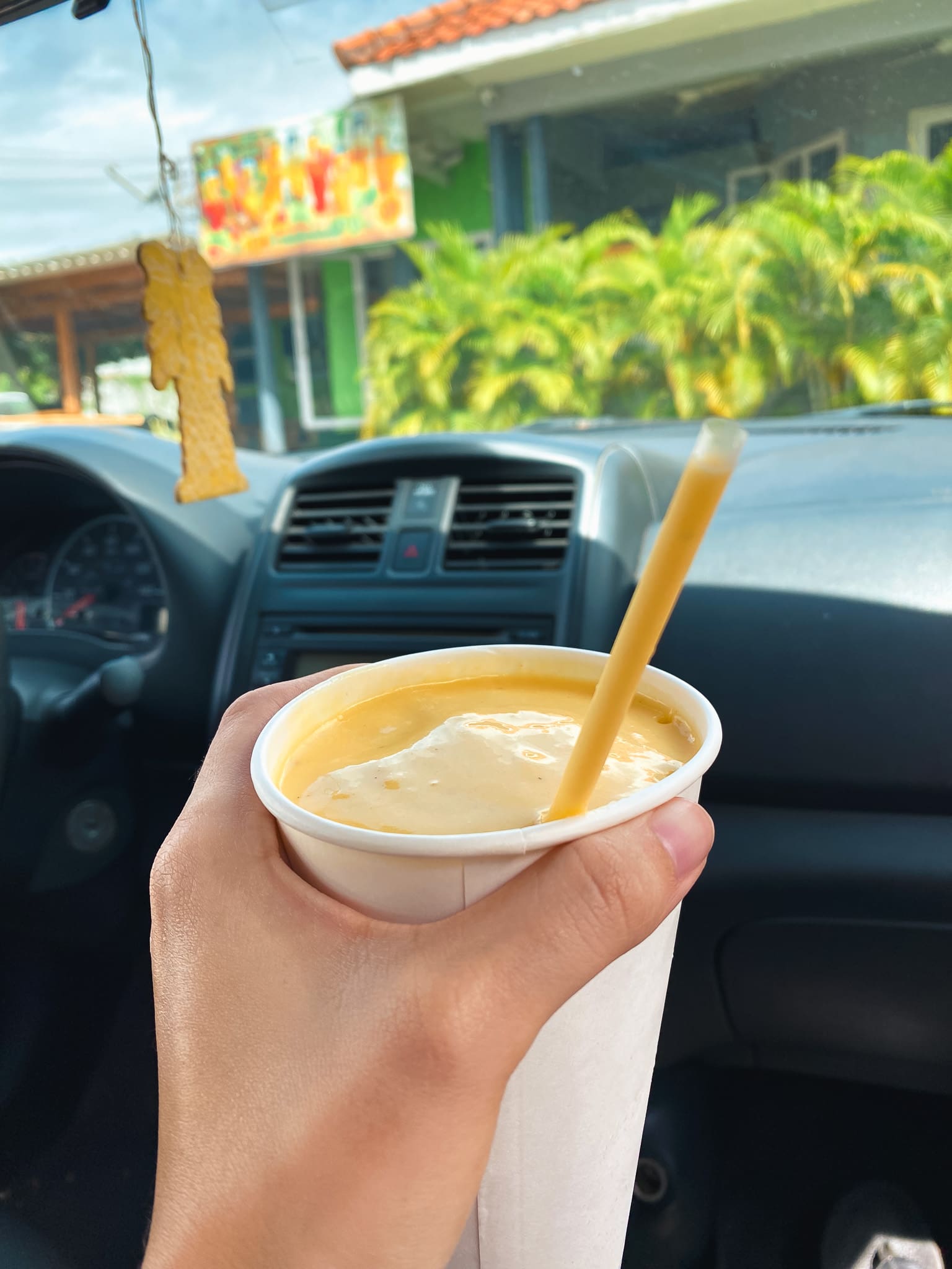 Mango Smoothie from Disfruta Mas Curacao