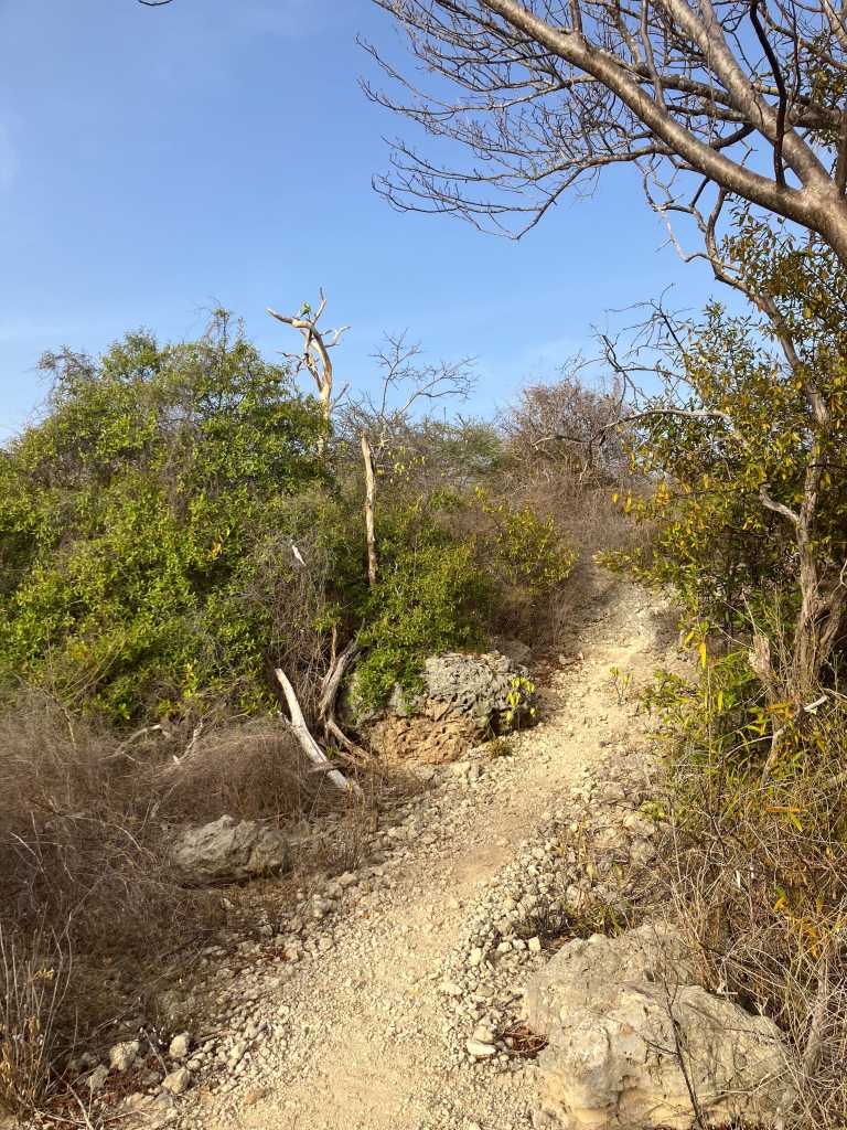 Curacao Hiking Trail Jan Thiel to Mambo Beach