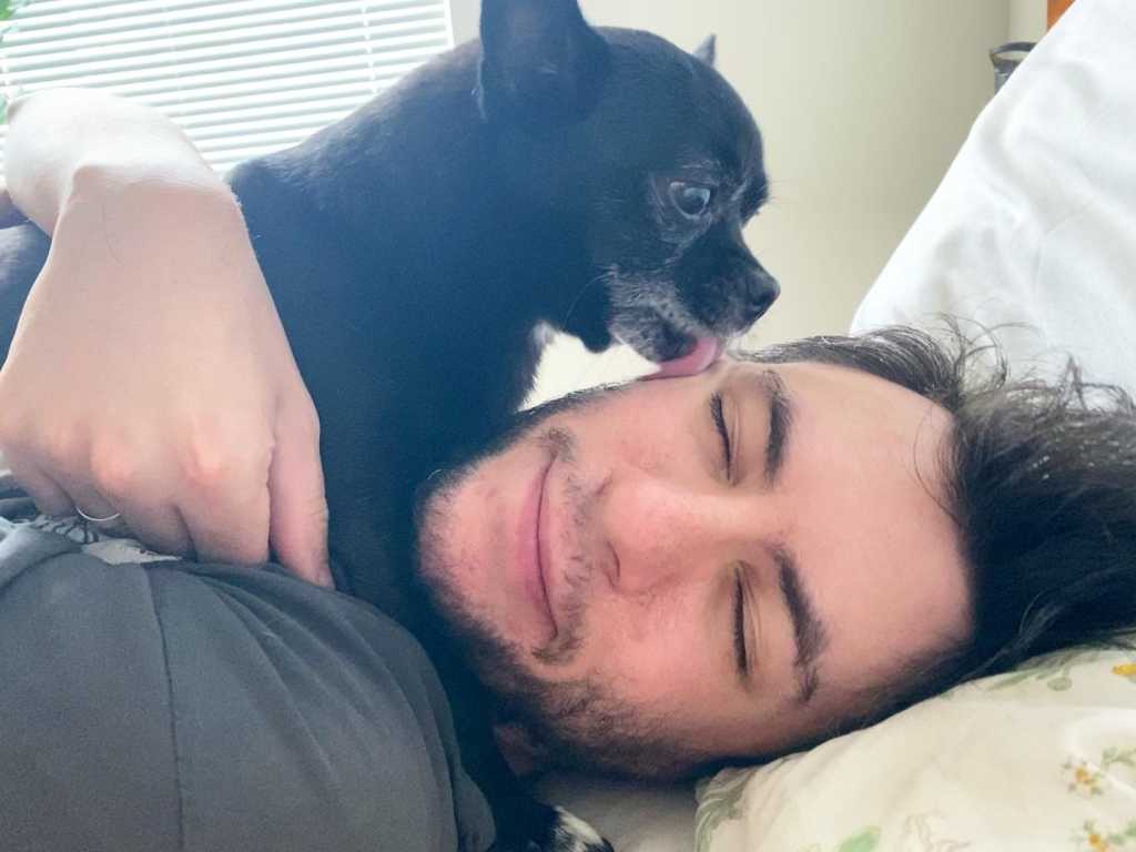 Basil, the chihuahua pug mix