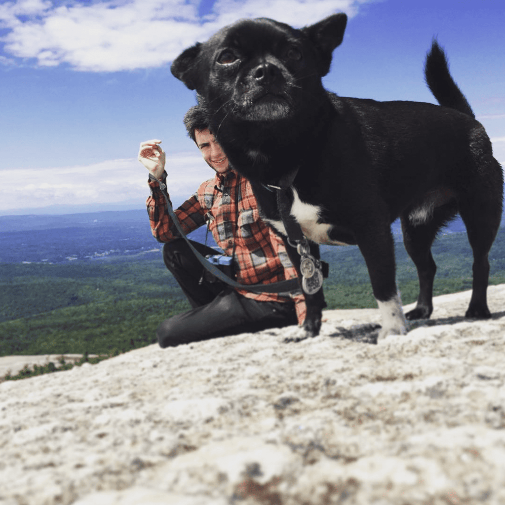 Basil, the chihuahua pug mix