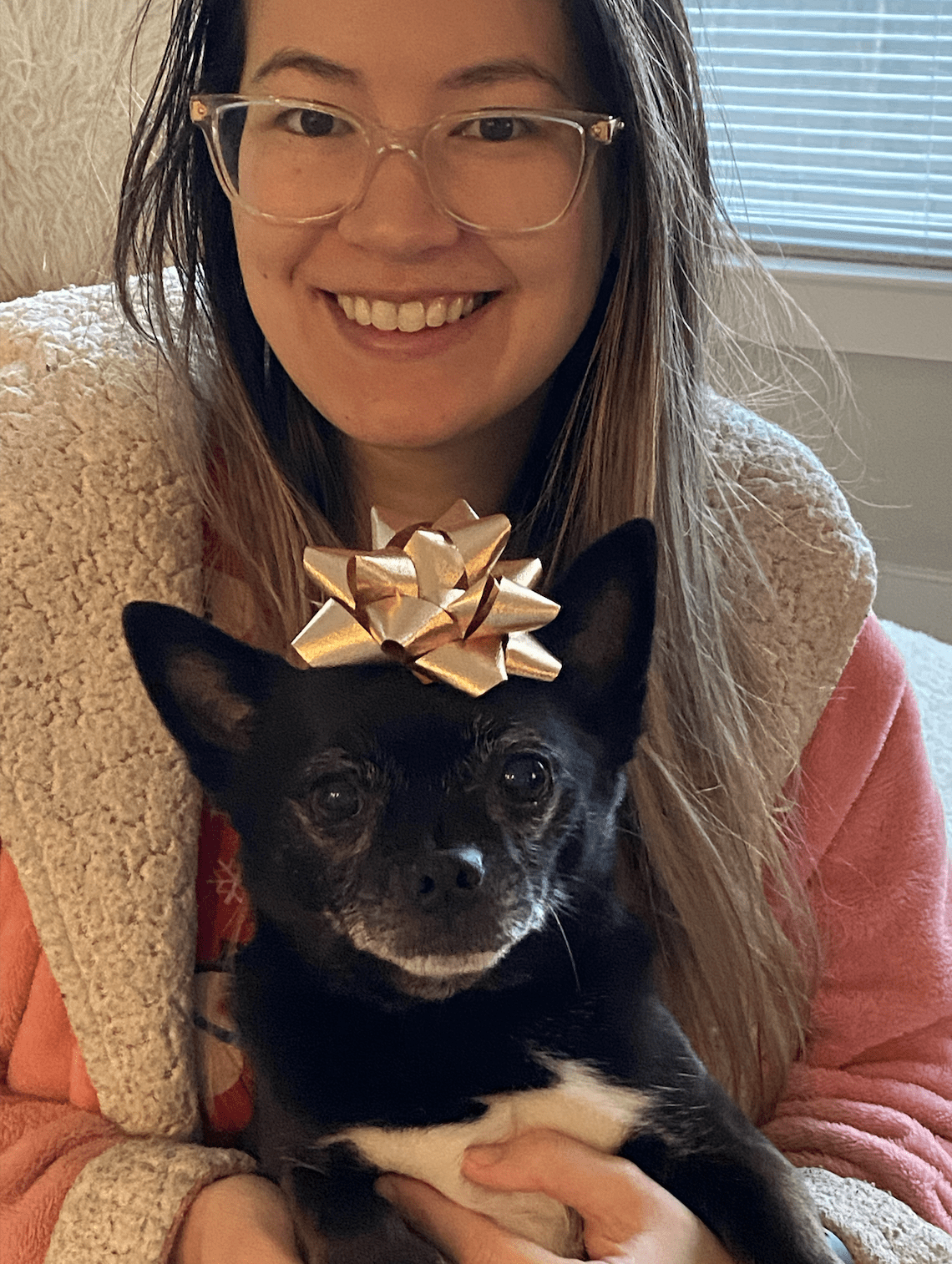 Basil, the chihuahua pug mix
