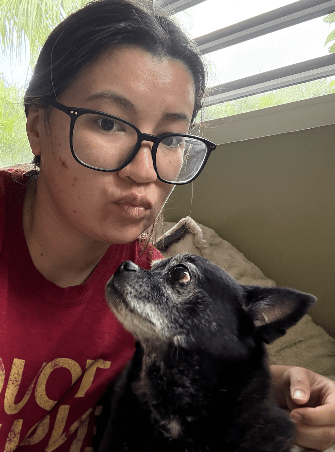 Basil, the chihuahua pug mix