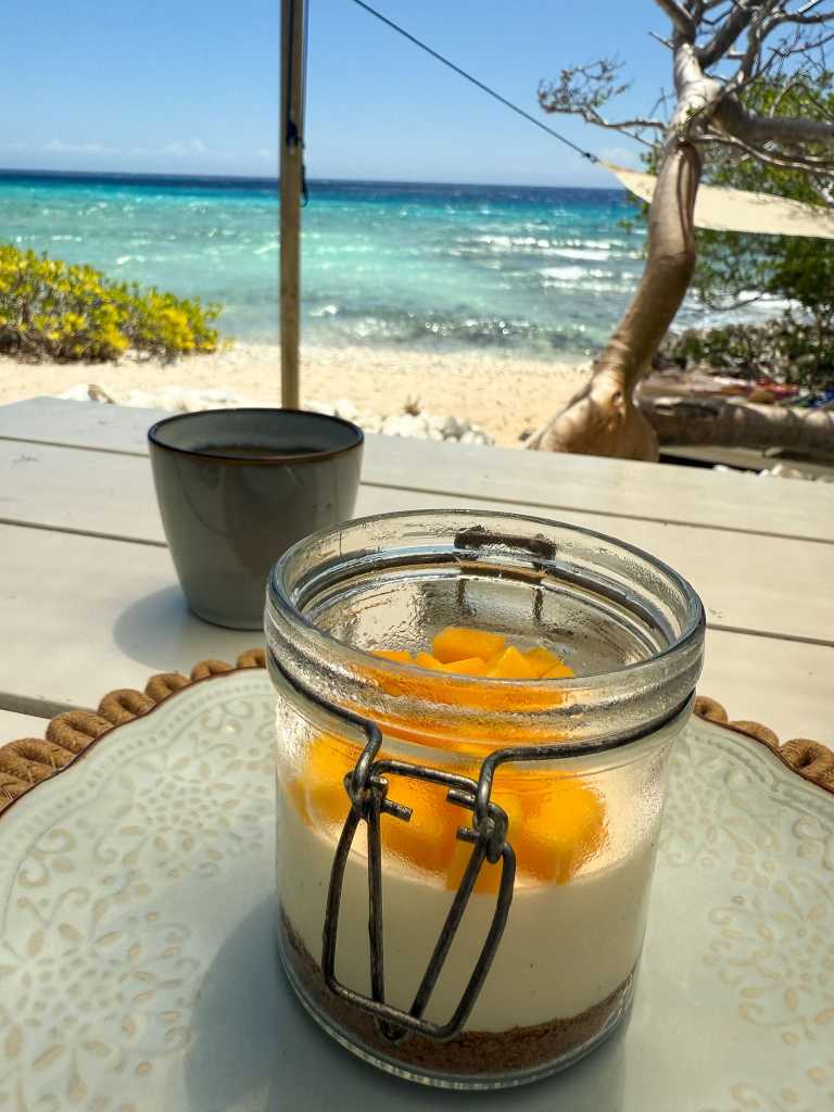 Landhuis San Nicolas Private Beach Experience Curacao